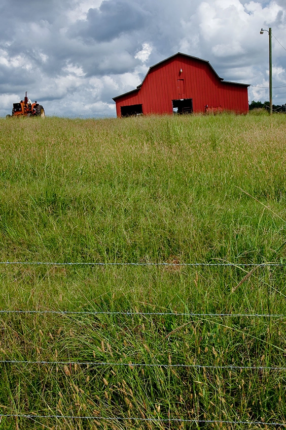 landscaping in Clay, Alabama