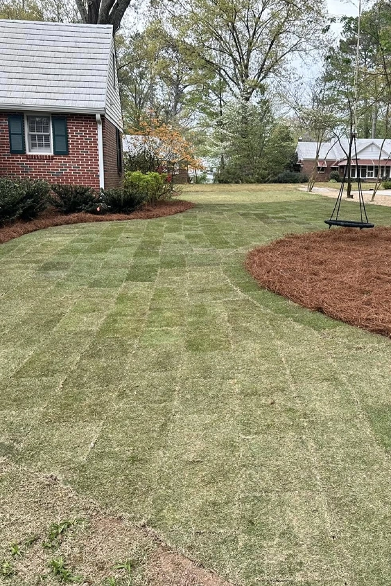 turf and lawn renovation